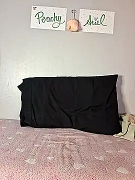 Snapshot of PeachyAriel chatting on 04/17/26, 02:25 PeachyAriel online show from 04/17/26, 02:25
