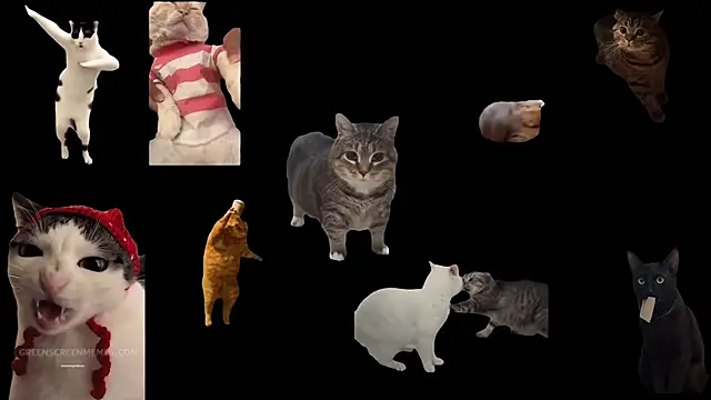 ch0wn m online show from 10/24/25, 10:47