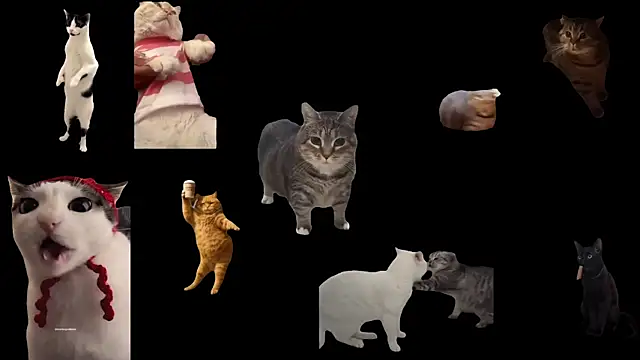 ch0wn m online show from 10/03/25, 12:50