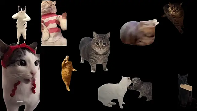 ch0wn m online show from 11/17/25, 10:52