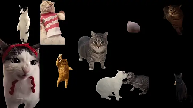 ch0wn m online show from 09/19/25, 10:41