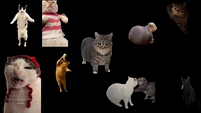 ch0wn m online show from 11/14/25, 01:15