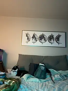 petalsexy online show from 11/17/25, 03:38