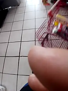 Snapshot of cicinha3657 chatting on 02/20/26, 06:32 cicinha3657 online show from 02/20/26, 06:32