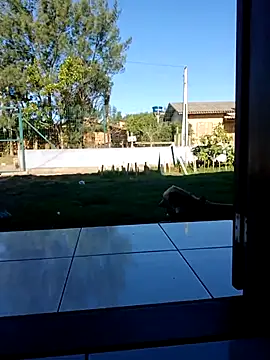 cicinha3657 online show from 04/09/26, 06:25