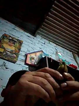 Lujor online show from 05/13/26, 01:12