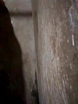 Lujor online show from 03/31/26, 11:40