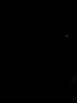 Lujor online show from 11/28/25, 02:23