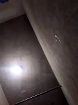 Lujor online show from 04/08/26, 12:34