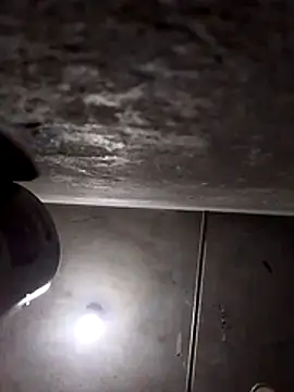 Lujor online show from 03/28/26, 07:59