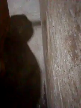 Lujor online show from 03/10/26, 12:58