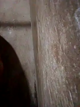 Lujor online show from 03/13/26, 11:43