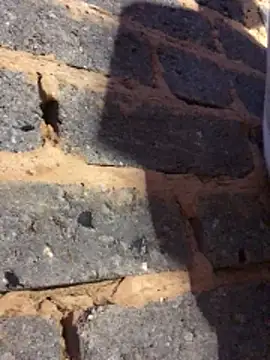 cuminsidebby online show from 02/14/26, 06:19