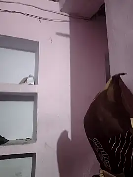 sexykrisha online show from 11/15/25, 03:32