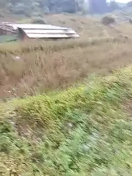 Phuongphuongg online show from 10/20/25, 02:24