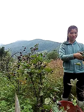 Phuongphuongg online show from 10/28/25, 02:56