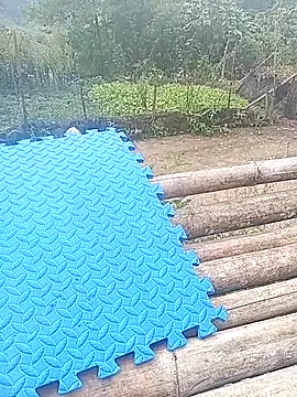 Phuongphuongg online show from 10/26/25, 03:40