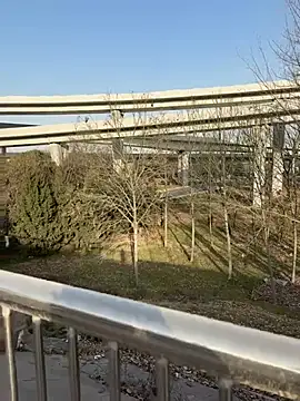 Snapshot of sonwmelt1 chatting on 01/15/26, 08:18 sonwmelt1 online show from 01/15/26, 08:18