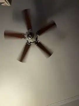 bb empress online show from 12/01/25, 09:43