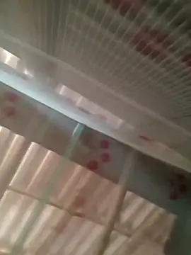 Rohit4500 online show from 12/19/25, 02:26