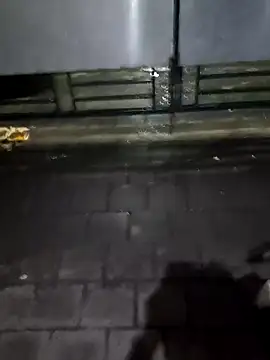 Snapshot of boysxx chatting on 10/30/25, 08:06 boysxx online show from 10/30/25, 08:06