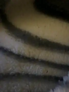 Simon-xx online show from 02/15/26, 03:40