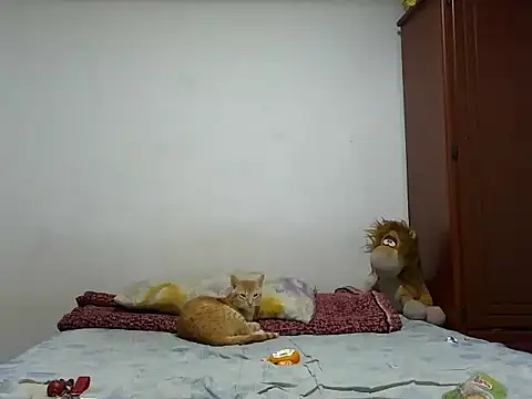 MeganAndMaxxh online show from 10/28/25, 12:33