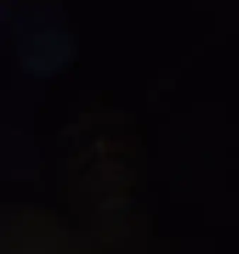 ramesh65 online show from 03/13/26, 06:13