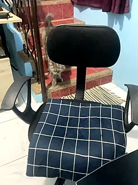 ieat monsters online show from 10/06/25, 09:21