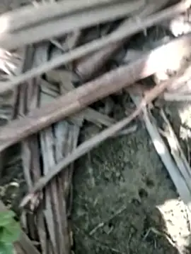 Snapshot of Real_Sucker chatting on 11/28/25, 04:56 Real Sucker online show from 11/28/25, 04:56