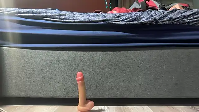 bearcub300 online show from 12/18/25, 05:34