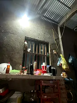 Sunny lotus online show from 11/08/25, 03:15