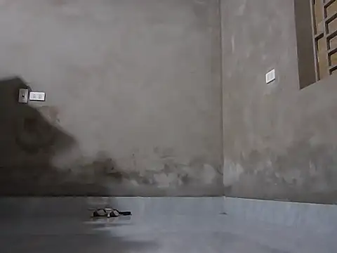 Bjorn357 online show from 03/03/26, 06:31