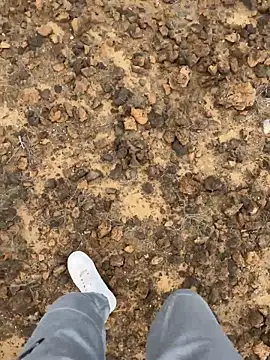 Manu97k online show from 03/12/26, 03:16