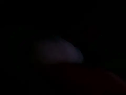 astridcollinsvip online show from 10/25/25, 10:36