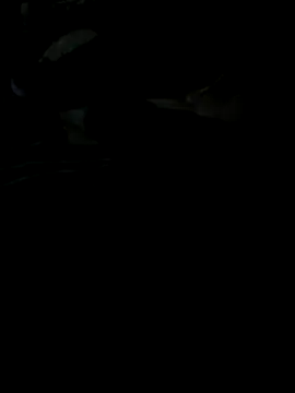 Reeelo online show from 11/28/25, 04:07