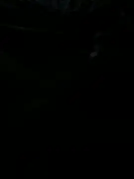 Reeelo online show from 10/31/25, 03:47