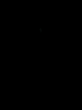 Reeelo online show from 11/26/25, 03:28