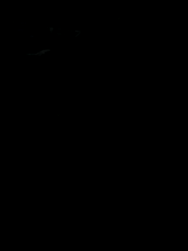 Reeelo online show from 11/17/25, 03:10