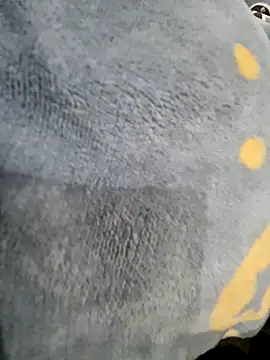 Snapshot of Boyshow88 chatting on 02/03/26, 03:17 Boyshow88 online show from 02/03/26, 03:17