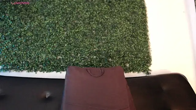 Snapshot of sam_ford_2 chatting on 02/08/26, 01:03 sam ford 2 online show from 02/08/26, 01:03