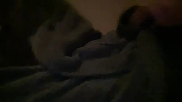 peterpapiNL online show from 03/31/26, 07:16