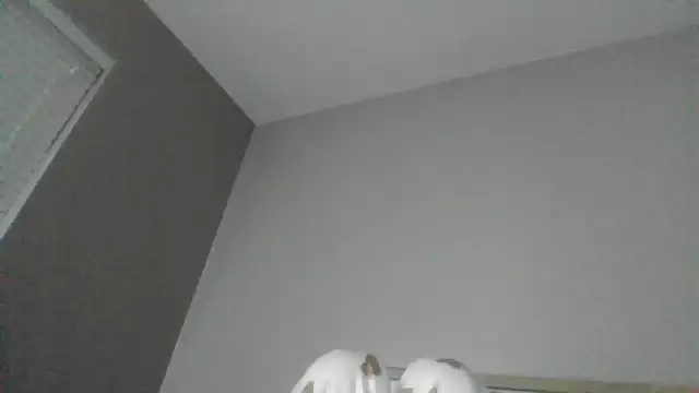 Snapshot of SexyKatiex chatting on 12/02/25, 09:49 SexyKatiex online show from 12/02/25, 09:49