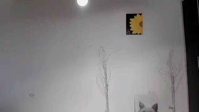 Snapshot of Stein_ chatting on 09/15/25, 01:55 Stein online show from 09/15/25, 01:55