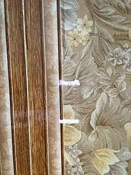 Snapshot of Julia-Elsa chatting on 11/02/25, 03:55 Julia-Elsa online show from 11/02/25, 03:55