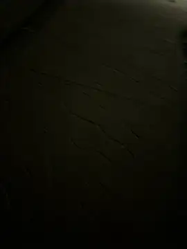 Foxfoxfox4 online show from 03/27/26, 04:08