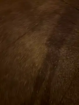 Foxfoxfox4 online show from 11/28/25, 01:00