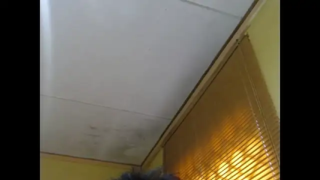 NawtyLisa online show from 03/03/26, 02:02