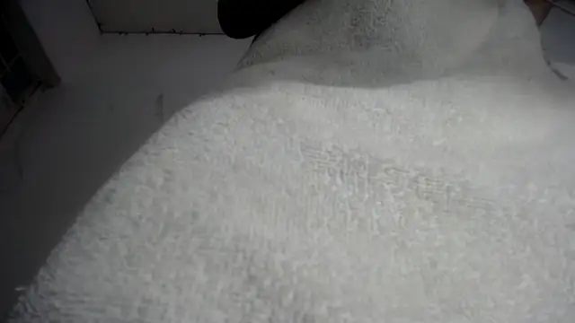 Foxy Lovex online show from 02/07/26, 10:18