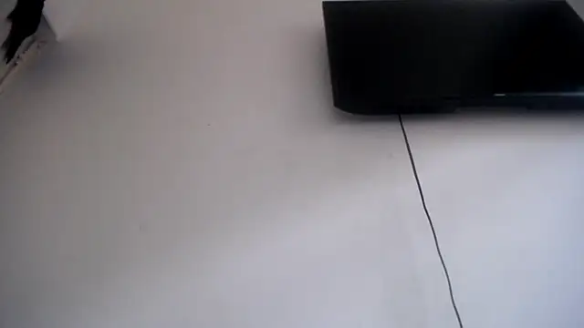 Foxy Lovex online show from 04/07/26, 10:11